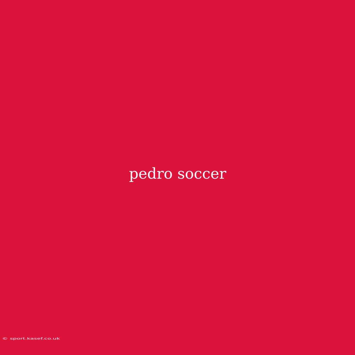 Pedro Soccer